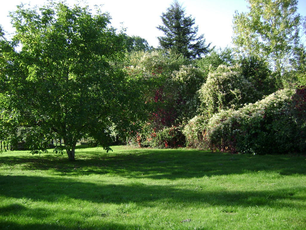 Les Chandelles Bed & Breakfast Villiers-le-Morhier Esterno foto